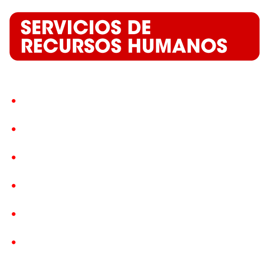 grafico1-servicios-01